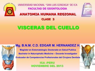 UNIVERSIDAD NACIONAL “SAN LUIS GONZAGA” DE ICA
FACULTAD DE ODONTOLOGIA

ANATOMIA HUMANA REGIONAL
CLASE 3

VISCERAS DEL CUELLO

Mg. B.N.M. C.D. EDGAR M. HERNANDEZ H.
Magíster en Estomatología- Doctorado en Salud Publica
Bachelor in Naturophatic Medicine – Docente Investigador
Evaluador de Competencias Profesionales del Cirujano Dentista

ICA -PERU
NOVIEMBRE DEL 2013

 