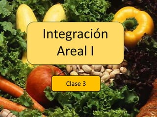 Integración Areal I Clase 3 