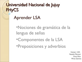 Universidad Nacional de Jujuy FHyCS Aprender LSA ,[object Object],[object Object],[object Object],Interpr. LSA:  Natalia Mamaní  Enzo Ríos  Mirta Gómes 