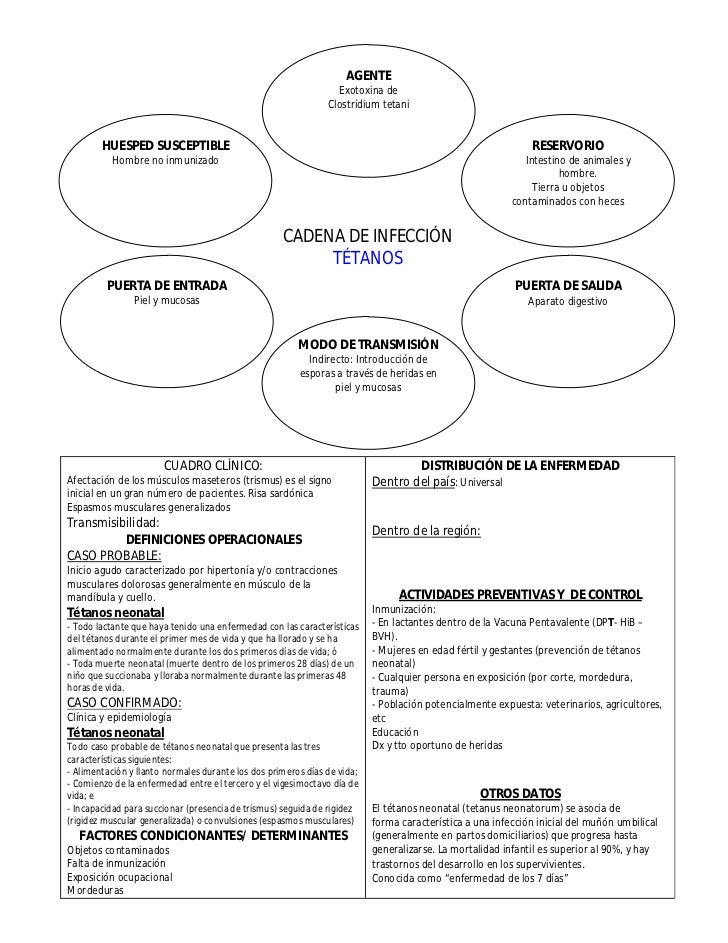 Cadenas Epidemiológicas De Principales Enfermedades