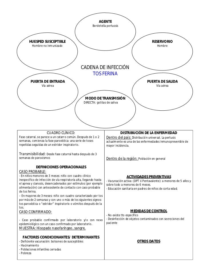 Cadenas Epidemiológicas De Principales Enfermedades