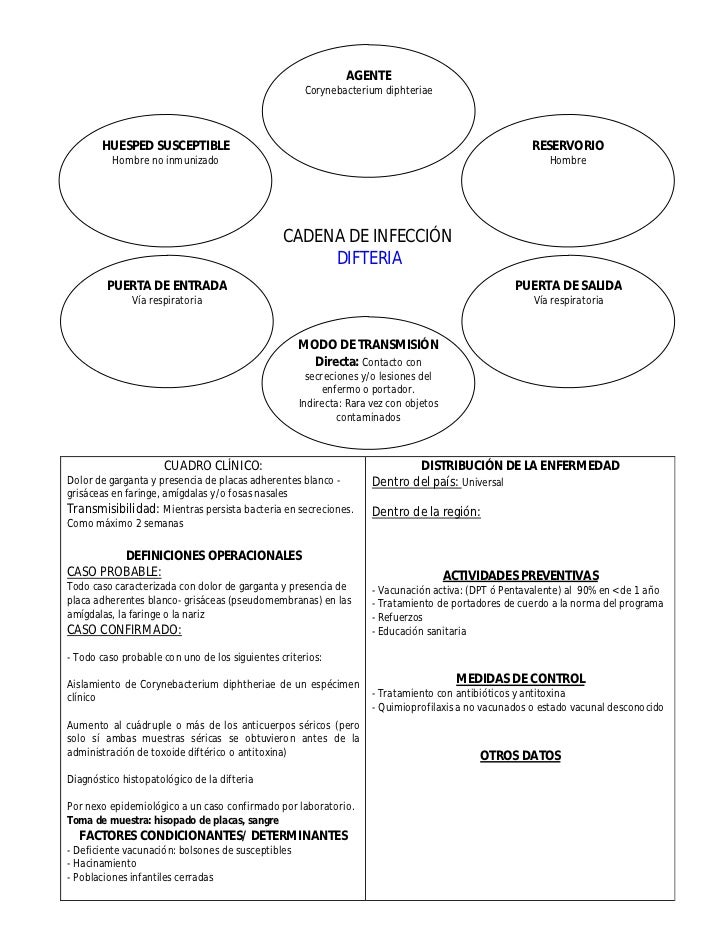Cadenas Epidemiológicas De Principales Enfermedades