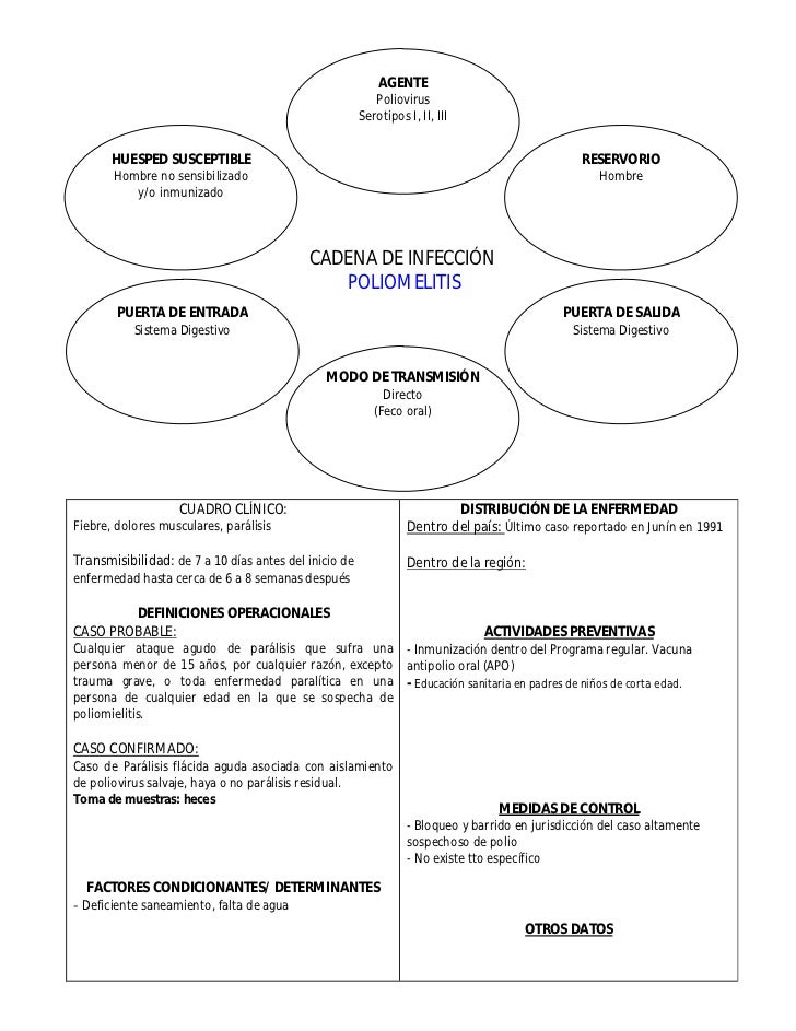 cadena epidemiologica poliomelitis cadenas epidemiol 243 gicas de principales enfermedades cadena epidemiologica poliomelitis cadenas epidemiol 243 gicas de principales enfermedades