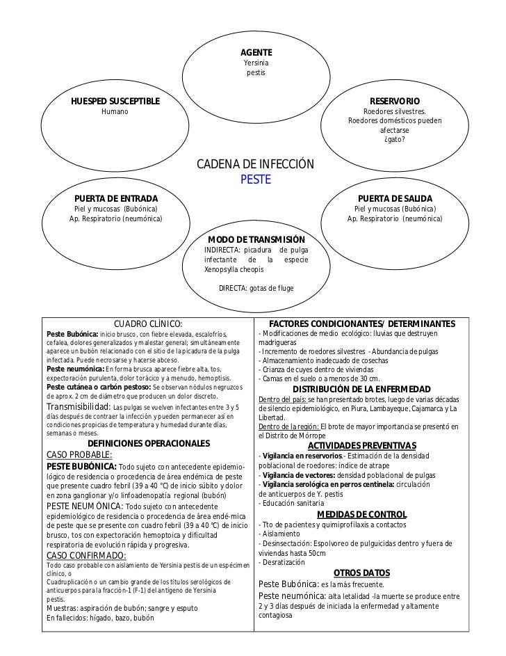 cadena epidemiologica bacteriana cadenas epidemiol 243 gicas de principales enfermedades cadena epidemiologica bacteriana cadenas epidemiol 243 gicas de principales enfermedades
