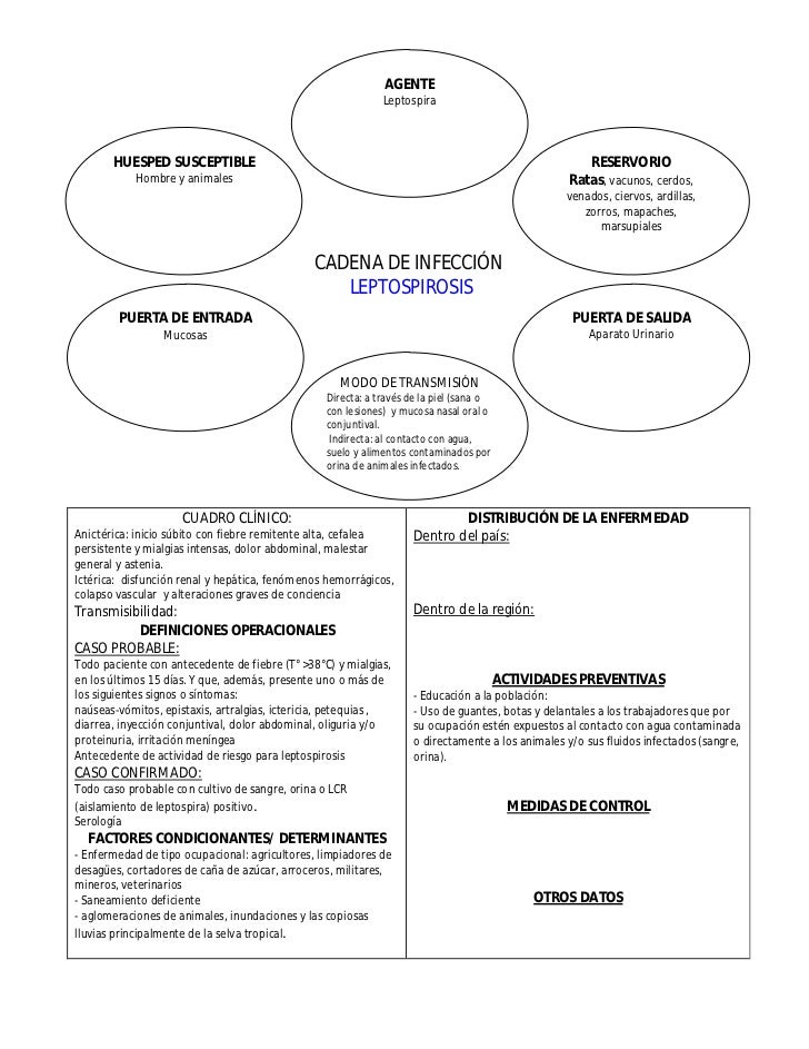 cadena epidemiologica gastroenteritis cadenas epidemiol 243 gicas de principales enfermedades cadena epidemiologica gastroenteritis cadenas epidemiol 243 gicas de principales enfermedades