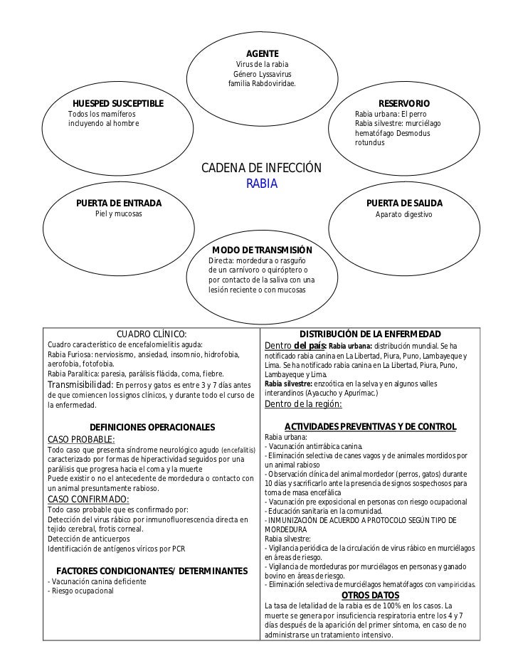 cadena epidemiologica paperas cadenas epidemiol 243 gicas de principales enfermedades cadena epidemiologica paperas cadenas epidemiol 243 gicas de principales enfermedades