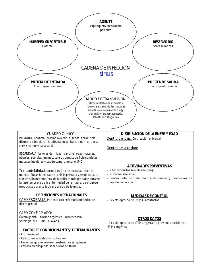 cadena epidemiologica treponema pallidum cadenas epidemiol 243 gicas de principales enfermedades cadena epidemiologica treponema pallidum cadenas epidemiol 243 gicas de principales enfermedades
