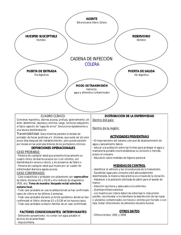 cadena epidemiologica gastroenteritis cadenas epidemiol 243 gicas de principales enfermedades cadena epidemiologica gastroenteritis cadenas epidemiol 243 gicas de principales enfermedades