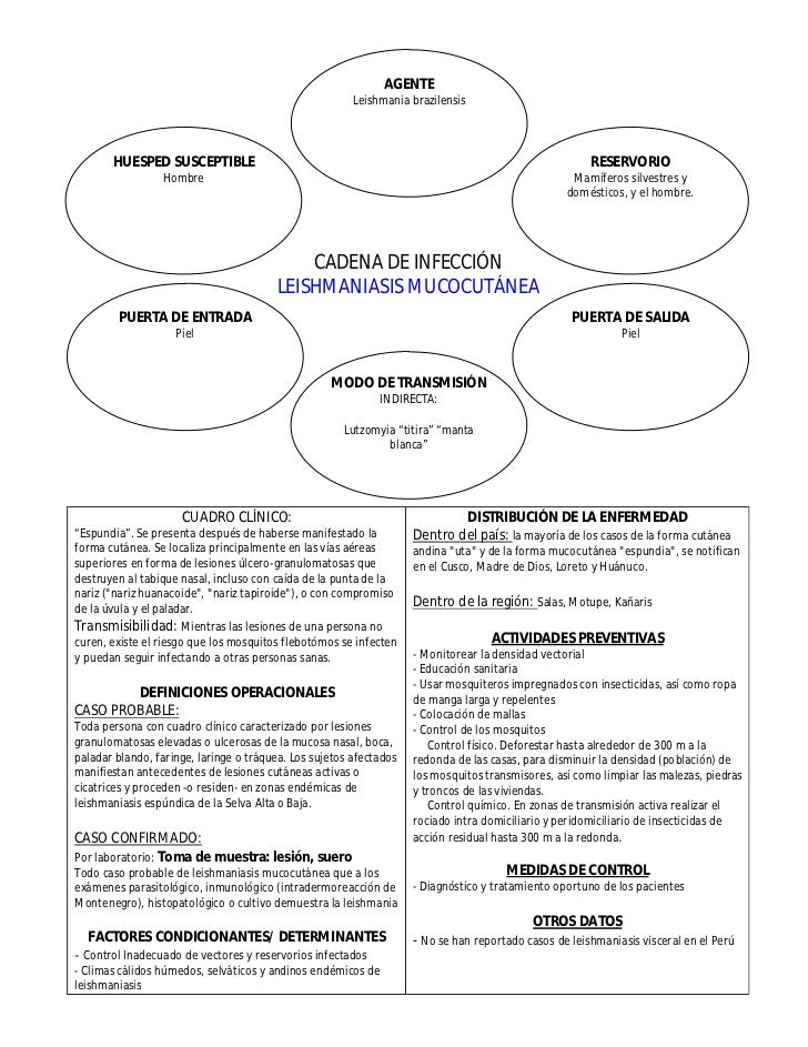 Cadenas Epidemiológicas De Principales Enfermedades