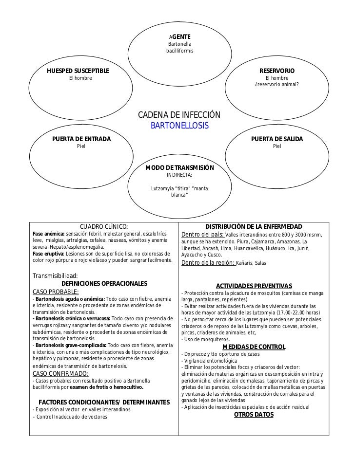 Cadenas Epidemiológicas De Principales Enfermedades