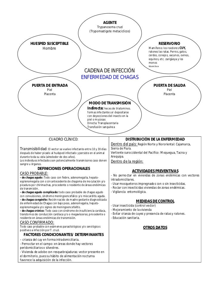 Cadena Epidemiologica Del Sida Epidemiología e Inmunología Cadena Epidemiologica Del Sida Epidemiología e Inmunología