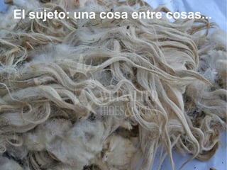 El sujeto: una cosa entre cosas...
 