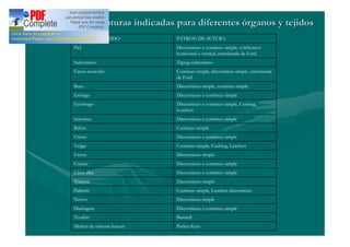 Principales suturas indicadas para diferentes órganos y tejidos
     ORGANO O TEJIDO            PATRON DE SUTURA
     Piel                       Discontinuo o continuo simple, colchonero
                                horizontal o vertical, entrelazada de Ford.
     Subcutáneo                 Zigzag subcutáneo
     Fascia muscular            Continuo simple, discontinuo simple, entrelazada
                                de Ford
     Bazo                       Discontinuo simple, continuo simple
     Esófago                    Discontinuo o continuo simple
     Estómago                   Discontinuo o continuo simple, Cushing,
                                Lembert
     Intestino                  Discontinuo o continuo simple
     Riñón                      Continuo simple
     Uréter                     Discontinuo o continuo simple
     Vejiga                     Continuo simple, Cushing, Lembert
     Uretra                     Discontinuo simple
     Córnea                     Discontinuo o continuo simple
     Línea alba                 Discontinuo o continuo simple
     Tráquea                    Discontinuo simple
     Pulmón                     Continuo simple, Lembert discontinuo
     Nervio                     Discontinuo simple
     Diafragma                  Discontinuo o continuo simple
     Tendón                     Bunnell
     Muñón de vísceras huecas   Parker-Kerr
 