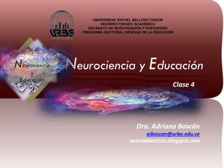UNIVERSIDAD RAFAEL BELLOSO CHACÍN
VICERRECTORADO ACADÉMICO
DECANATO DE INVESTIGACIÓN Y POSTGRADO
PROGRAMA DOCTORAL CIENCIAS DE LA EDUCACIÓN

Neurociencia
y
Educación

Neurociencia y Educación
Clase 4

Dra. Adriana Boscán
aiboscan@urbe.edu.ve
neurodidacticas.blogspot.com

 