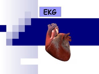 EKG
 