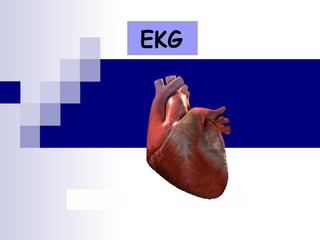EKG 