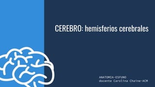 +
CEREBRO: hemisferios cerebrales
ANATOMIA-ESFUNO
docente Carolina Chaine-ACM
 