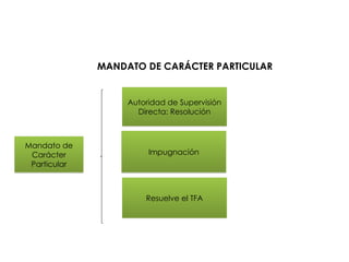 MANDATO DE CARÁCTER PARTICULAR
Mandato de
Carácter
Particular
Autoridad de Supervisión
Directa: Resolución
Impugnación
Resuelve el TFA
 