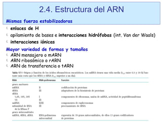 Marn Tarn Rarn Clase 4. HDC, proteinas, lípidos y acidos nucleicos- parte 2.pptx