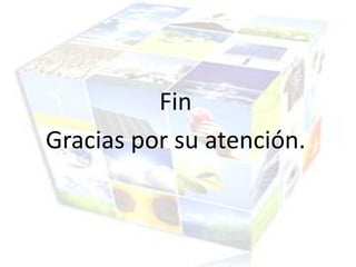 Fin
Gracias por su atención.
 