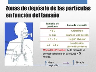 Zonas de depósito de las partículas
en función del tamaño
MASA RESPIRABLE: % de masa de un
aerosol contenida en partículas < 5
micras.
Masa Eficacia
respirable
 