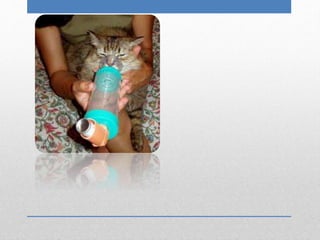 clase 4-AEROSOLTERAPIA.pptx