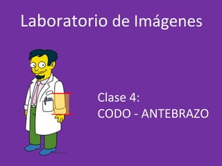 Laboratorio de Imágenes
Clase 4:
CODO - ANTEBRAZO
 