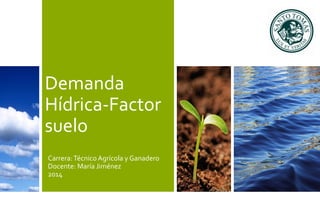 Demanda 
Hídrica-Factor 
suelo 
Carrera: Técnico Agrícola y Ganadero 
Docente: María Jiménez 
2014 
 