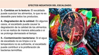EFECTOS NEGATIVOS DEL ESCALDADO:
3.- Cambios en la textura: El escaldado
puede suavizar los alimentos, lo que no es
deseable para todos los productos.
4.- Degradación de la calidad: En algunos
casos, el escaldado puede causar la
degradación de la calidad de los alimentos
si no se realiza de manera adecuada o si
se prolonga demasiado el tiempo.
5.- Contaminación bacteriana: Si el agua
de escaldado no es limpia o si la
temperatura no es suficiente, el escaldado
puede contribuir a la proliferación de
bacterias termófilas.
 