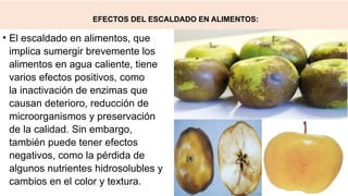 EFECTOS DEL ESCALDADO EN ALIMENTOS:
• El escaldado en alimentos, que
implica sumergir brevemente los
alimentos en agua caliente, tiene
varios efectos positivos, como
la inactivación de enzimas que
causan deterioro, reducción de
microorganismos y preservación
de la calidad. Sin embargo,
también puede tener efectos
negativos, como la pérdida de
algunos nutrientes hidrosolubles y
cambios en el color y textura.
 