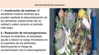 EFECTOS POSITIVOS DEL ESCALDADO:
1.- Inactivación de enzimas: El
escaldado inactiva enzimas que
pueden acelerar la descomposición de
los alimentos, preservando así su
calidad y sabor durante un período
más largo.
2.- Reducción de microorganismos:
Aunque no esteriliza, el escaldado
ayuda a reducir la carga microbiana en
la superficie de los alimentos,
disminuyendo el riesgo de
contaminación tras la descongelación.
 