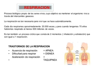 Proceso biológico propio de los seres vivos, cuyo objetivo es mantener el organismo vivo a
través del intercambio gaseoso.
La respiración es tan necesaria para vivir que se hace automáticamente.
Cada día respiramos aproximadamente 20.000 veces, y para cuando tengamos 70 años
habremos respirado al menos 600 millones de veces.
Es tan también un proceso cíclico que consta de 2 momentos ( inhalación y exhalación) que
son igual a 1 respiración.
TRASTORNOS DE LA RESPIRACION
• Ausencia de respiración = APNEA
• Dificultad para respirar = DISNEA
•
Aceleración de respiración =
TAQUIPNEA
RESPIRACION
 