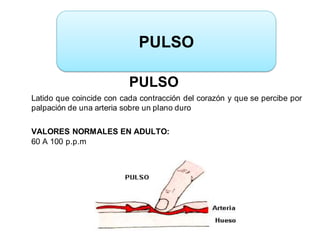 PULSO
Latido que coincide con cada contracción del corazón y que se percibe por
palpación de una arteria sobre un plano duro
VALORES NORMALES EN ADULTO:
60 A 100 p.p.m
PULSO
 