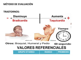 MÉTODO DE EVALUACIÓN
VALORES REFERENCIALES
GRUPO ETAREO RANGO PROMEDIO
TRASTORNOS:
 