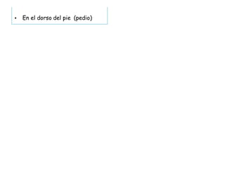 • En el dorso del pie (pedio)
 