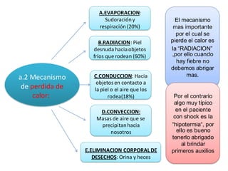 a.2 Mecanismo
de perdida de
calor:
A.EVAPORACION:
Sudoracióny
respiración (20%)
B.RADIACION Piel
:
desnuda haciaobjetos
fríos que rodean (60%)
C.CONDUCCION Hacia
:
objetosen contacto a
la piel o el aire que los
rodea(18%)
D.CONVECCION:
Masas de aire que se
precipitanhacia
nosotros
E.ELIMINACION CORPORAL DE
DESECHOS Orina y heces
:
El mecanismo
mas importante
por el cual se
pierde el calor es
la “RADIACION”
,por ello cuando
hay fiebre no
debemos abrigar
mas.
Por el contrario
algo muy típico
en el paciente
con shock es la
“hipotermia“, por
ello es bueno
tenerlo abrigado
al brindar
primeros auxilios
 