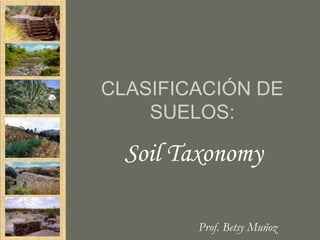 CLASIFICACIÓN DE
    SUELOS:

  Soil Taxonomy

        Prof. Betsy Muñoz
 
