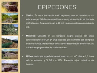 EPIPEDONES
•   Hístico: Es un epipedon de suelo orgánico, que se caracteriza por
    saturación por 30 días acumulativos o más y reducción (o es drenado
    artificalmente) Su espesor es > a 20 cm y presenta altos contenidos de
    CO.



•   Melánico: Consiste en un horizonte negro, grueso con altas
    concentraciones de CO, (> 6%) asociado generalmente con complejo
    aluminio-humus. Relacionado con suelos desarrollados sobre cenizas
    volcánicas (propiedades de suelo ándicas).



•   Mólico: Horizonte superficial de color oscuro con MO desde 0,6 % en
    todo su espesor y % SB > a 50%.. Presenta bajos contenidos de
    fosfatos.
 