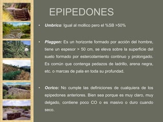 EPIPEDONES
•   Umbrico: Igual al mollico pero el %SB >50%



•   Plaggen: Es un horizonte formado por acción del hombre,
    tiene un espesor > 50 cm, se eleva sobre la superficie del
    suelo formado por estercolamiento continuo y prolongado.
    Es común que contenga pedazos de ladrillo, arena negra,
    etc. o marcas de pala en toda su profundad.



•   Ocrico: No cumple las definiciones de cualquiera de los
    epipedones anteriores. Bien sea porque es muy claro, muy
    delgado, contiene poco CO o es masivo o duro cuando
    seco.
 