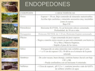 ENDOPEDONES
ENDOPEDÓN                               CARACTERÍSTICAS
Óxico           -      Espesor > 30 cm, Bajo contenido de minerales meteorizables.
                       Arcillas tipo caolinitas y minerales accesorios muy insolubles
                                                como el cuarzo.
                                              -   Baja CIC.
Petrocálcico           Horizonte ILUVIAL. Es un horizonte cálcico cementado.
                                     Profundidad de 10 cm o más.
Petrogypsico        Horizonte ILUVIAL de ≥ 10 cm. Horizonte Gypsico cementado.
Plácico                       - Capa cementada de poco espesor.
               - Negro o marrón rojizo oscuro ya que está cementado con hierro (o
                                    Fe y Mn) y Materia Orgánica.
                                 - Impide el paso de las raíces.
Sálico                  -Enriquecido en sales minerales más solubles que el yeso.
                     - > a 15 cm de espesor. CE≥ 30 dS/m en el extracto de la pasta
                                                  saturada
Sómbrico            - De color oscuro, buen drenaje, contiene humus iluvial con baja
                                                 CIC y SB.
                           - Puede confundirse con un horizonte A enterrado.
Sulfúrico       ->15cm de espesor, pH 3,5 o <, contiene jarosita o más de 0,05%
                                   de sulfatos solubles en agua
 