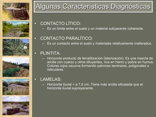 Algunas Características Diagnósticas

• CONTACTO LÍTICO:
   – Es un límite entre el suelo y un material subyacente coherente.

• CONTACTO PARALÍTICO:
   – Es un contacto entre el suelo y materiales relativamente inalterados.

• PLINTITA:
   – Horizonte producto de ferralitización (laterización). Es una mezcla de
     arcilla con cuarzo y otros diluyentes, rica en hierro y pobre en humus.
     Colores rojos oscuros formando patrones laminares, poligonales o
     reticulares.

• LAMELAS:
   – Horizonte iluvial < a 7,5 cm. Tiene más arcilla silicatada que el
     horizonte iluvial suprayacente.
 