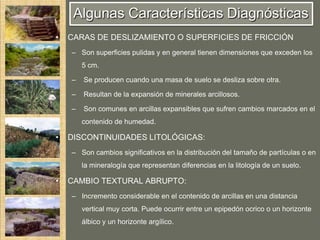 Algunas Características Diagnósticas
•   CARAS DE DESLIZAMIENTO O SUPERFICIES DE FRICCIÓN
    – Son superficies pulidas y en general tienen dimensiones que exceden los
        5 cm.

    –   Se producen cuando una masa de suelo se desliza sobre otra.

    –   Resultan de la expansión de minerales arcillosos.

    –   Son comunes en arcillas expansibles que sufren cambios marcados en el
        contenido de humedad.

•   DISCONTINUIDADES LITOLÓGICAS:
    – Son cambios significativos en la distribución del tamaño de partículas o en
        la mineralogía que representan diferencias en la litología de un suelo.

•   CAMBIO TEXTURAL ABRUPTO:
    – Incremento considerable en el contenido de arcillas en una distancia
        vertical muy corta. Puede ocurrir entre un epipedón ocrico o un horizonte
        álbico y un horizonte argílico.
 
