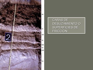 CARAS DE
DESLIZAMIENTO O
SUPERFICIES DE
FRICCIÓN
 