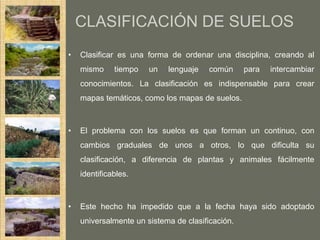 CLASIFICACIÓN DE SUELOS
•   Clasificar es una forma de ordenar una disciplina, creando al
    mismo     tiempo   un   lenguaje    común     para   intercambiar
    conocimientos. La clasificación es indispensable para crear
    mapas temáticos, como los mapas de suelos.



•   El problema con los suelos es que forman un continuo, con
    cambios graduales de unos a otros, lo que dificulta su
    clasificación, a diferencia de plantas y animales fácilmente
    identificables.



•   Este hecho ha impedido que a la fecha haya sido adoptado
    universalmente un sistema de clasificación.
 