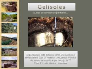 Suelos que presentan permafrost.




  El permafrost está definido como una condición
térmica en la cual un material (incluyendo material
      del suelo) se mantiene por debajo de 0º
          C por 2 o más años en sucesión.
 