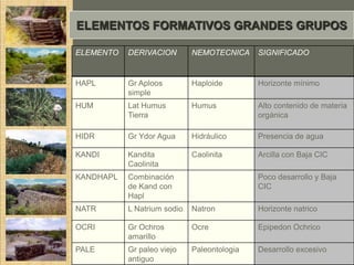 ELEMENTOS FORMATIVOS GRANDES GRUPOS

ELEMENTO   DERIVACION        NEMOTECNICA     SIGNIFICADO


HAPL       Gr Aploos         Haploide        Horizonte mínimo
           simple
HUM        Lat Humus         Humus           Alto contenido de materia
           Tierra                            orgánica

HIDR       Gr Ydor Agua      Hidráulico      Presencia de agua

KANDI      Kandita           Caolinita       Arcilla con Baja CIC
           Caolinita
KANDHAPL   Combinación                       Poco desarrollo y Baja
           de Kand con                       CIC
           Hapl
NATR       L Natrium sodio   Natron          Horizonte natrico

OCRI       Gr Ochros         Ocre            Epipedon Ochrico
           amarillo
PALE       Gr paleo viejo    Paleontologia   Desarrollo excesivo
           antiguo
 