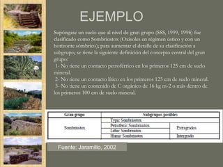 EJEMPLO
Supóngase un suelo que al nivel de gran grupo (SSS, 1999, 1998) fue
clasificado como Sombriustox (Oxisoles en régimen ústico y con un
horizonte sómbrico); para aumentar el detalle de su clasificación a
subgrupo, se tiene la siguiente definición del concepto central del gran
grupo:
 1- No tiene un contacto petroférrico en los primeros 125 cm de suelo
mineral.
 2- No tiene un contacto lítico en los primeros 125 cm de suelo mineral.
 3- No tiene un contenido de C orgánico de 16 kg m-2 o más dentro de
los primeros 100 cm de suelo mineral.




  Fuente: Jaramillo, 2002
 