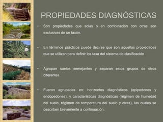 PROPIEDADES DIAGNÓSTICAS
•   Son propiedades que solas o en combinación con otras son
    exclusivas de un taxón.



•   En términos prácticos puede decirse que son aquellas propiedades
    que se utilizan para definir los taxa del sistema de clasificación



•   Agrupan suelos semejantes y separan estos grupos de otros
    diferentes.



•   Fueron agrupadas en: horizontes diagnósticos (epipedones y
    endopedones), y características diagnósticas (régimen de humedad
    del suelo, régimen de temperatura del suelo y otras), las cuales se
    describen brevemente a continuación.
 