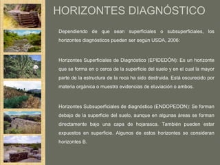 HORIZONTES DIAGNÓSTICO
Dependiendo de que sean superficiales o subsuperficiales, los
horizontes diagnósticos pueden ser según USDA, 2006:



Horizontes Superficiales de Diagnóstico (EPIDEDÓN): Es un horizonte
que se forma en o cerca de la superficie del suelo y en el cual la mayor
parte de la estructura de la roca ha sido destruida. Está oscurecido por
materia orgánica o muestra evidencias de eluviación o ambos.



Horizontes Subsuperficiales de diagnóstico (ENDOPEDON): Se forman
debajo de la superficie del suelo, aunque en algunas áreas se forman
directamente bajo una capa de hojarasca. También pueden estar
expuestos en superficie. Algunos de estos horizontes se consideran
horizontes B.
 