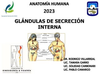 2023
GLÁNDULAS DE SECRECIÓN
INTERNA
 